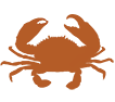 king-crab