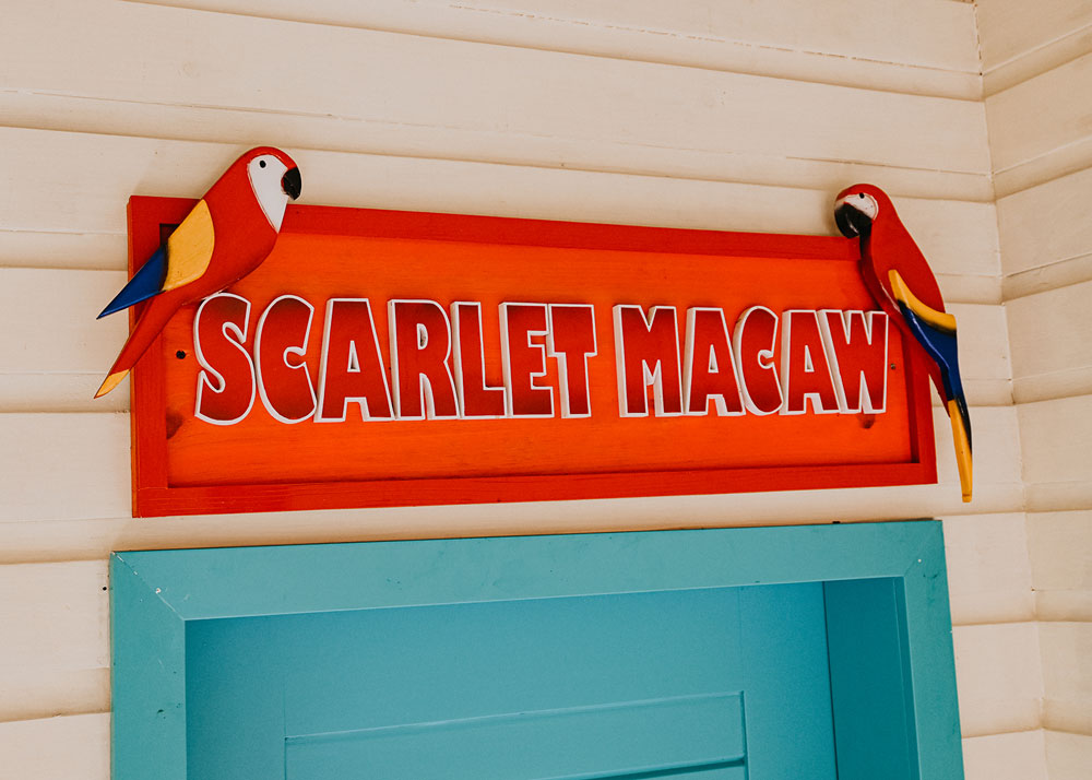 Scarlet Macaw - room