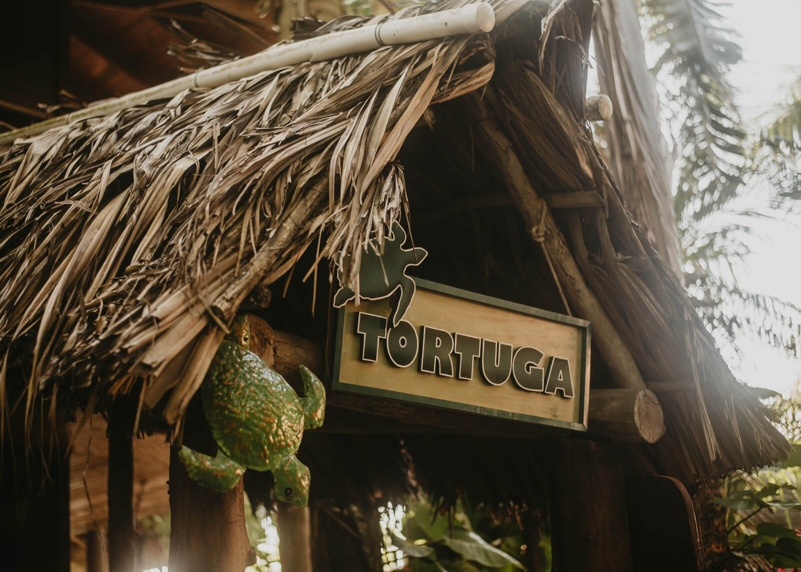 Tortuga room