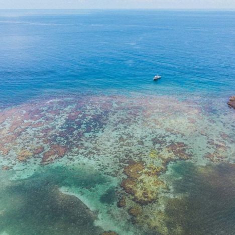 Roatan - shoreline