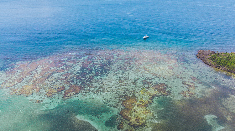 Zhlédněte ty nejkrásnější záběry z hotelu Tranquilseas a ostrova Roatan