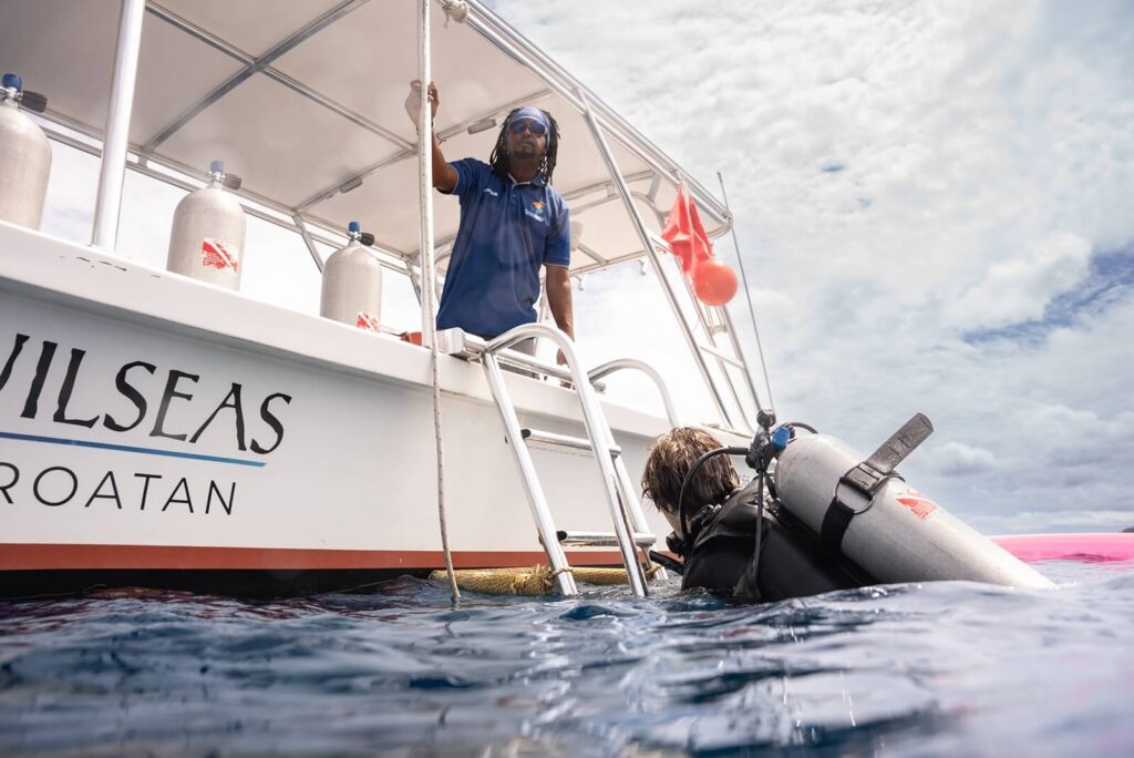 Hidden Dive Sites of Roatan